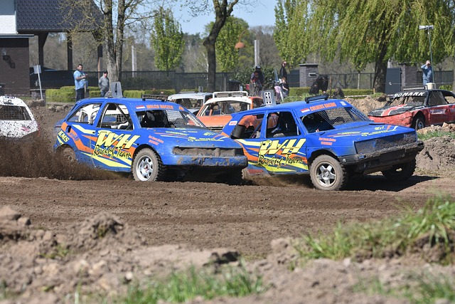 能在手机上 能在手机上