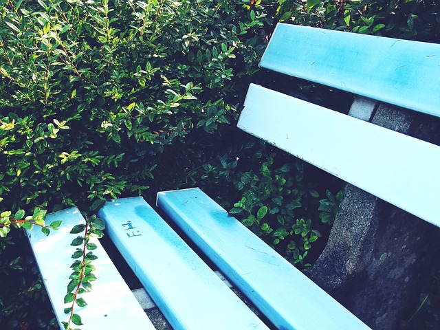 会后选择改 会后选择改