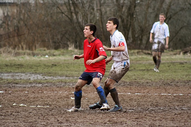 心和动力 心和动力