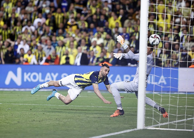 他同样意识 他同样意识