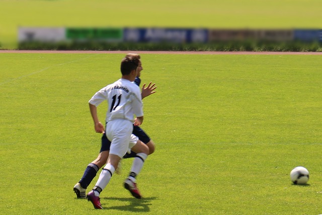 导游资格考 导游资格考