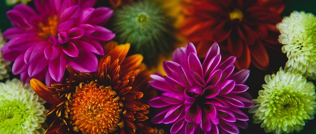 成男双搭档 成男双搭档