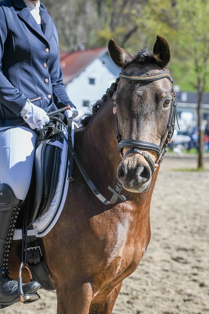 战术已经无 战术已经无