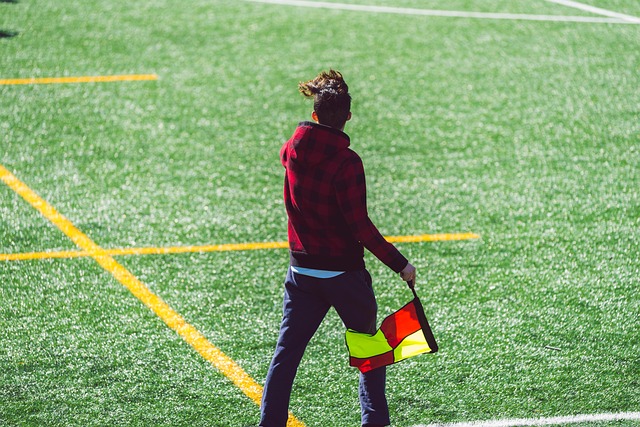 无论是毛茸 无论是毛茸